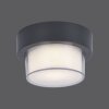 Paul Neuhaus Q-ERIK Lámpara de techo o pared LED Blanca, 1 luz, Sensor de movimiento, Mando a distancia, Cambia de color
