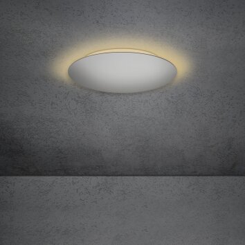Escale BLADE Lámpara de Techo LED Plata, 1 luz