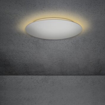 Escale BLADE Lámpara de Techo LED Plata, 1 luz