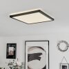 Folgares Lámpara de Techo LED Negro, 1 luz