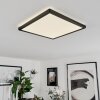 Folgares Lámpara de Techo LED Negro, 1 luz