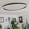 Barril Lámpara de Techo LED Blanca, 1 luz