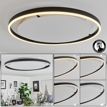 Barril Lámpara de Techo LED Blanca, 1 luz