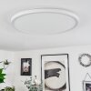 Folgares Lámpara de Techo LED Blanca, 1 luz