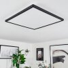 Folgares Lámpara de Techo LED Negro, 1 luz