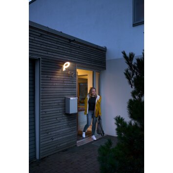 LEDVANCE ENDURA® Aplique para exterior Acero inoxidable, 1 luz, Sensor de movimiento