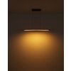Globo DORO Lámpara Colgante LED Gris, Color madera, 1 luz