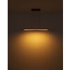 Globo DORO Lámpara Colgante LED Gris, Color madera, 1 luz