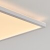 Sasinhosa Lámpara de Techo LED Blanca, 1 luz, Mando a distancia