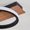 Canhestros Lámpara de Techo LED Marrón, Color madera, Negro, 1 luz