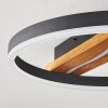 Angtasom Lámpara de Techo LED Marrón, Color madera, Negro, 1 luz, Mando a distancia