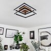 Walschbronn Lámpara de Techo LED Marrón, Color madera, Negro, 1 luz