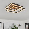 Walschbronn Lámpara de Techo LED Marrón, Color madera, Negro, 1 luz