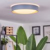 Louea Lámpara de Techo LED Marrón, Gris, Color madera, 1 luz