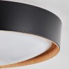 Louea Lámpara de Techo LED Marrón, Color madera, Negro, 1 luz