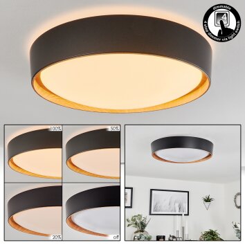 Louea Lámpara de Techo LED Marrón, Color madera, Negro, 1 luz