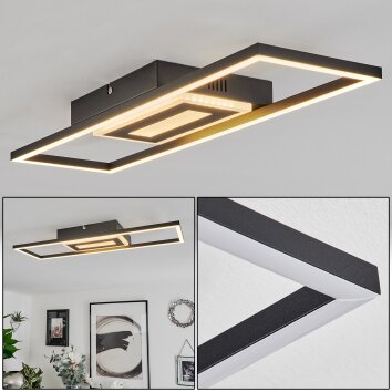 Vaseux Lámpara de Techo LED Negro, Blanca, 1 luz