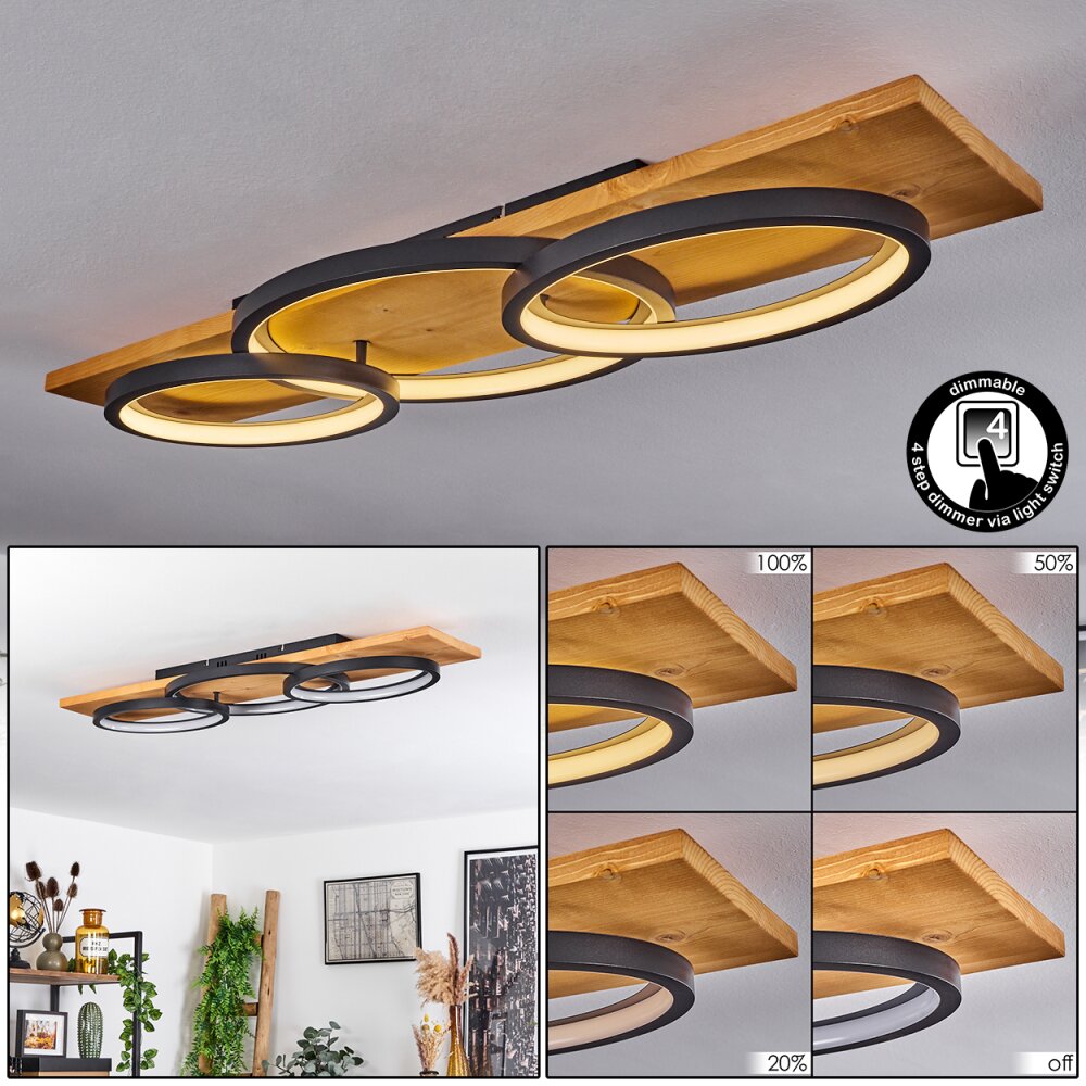 Pompu Lámpara de Techo LED Crudo, Negro, 1 luz main product photo