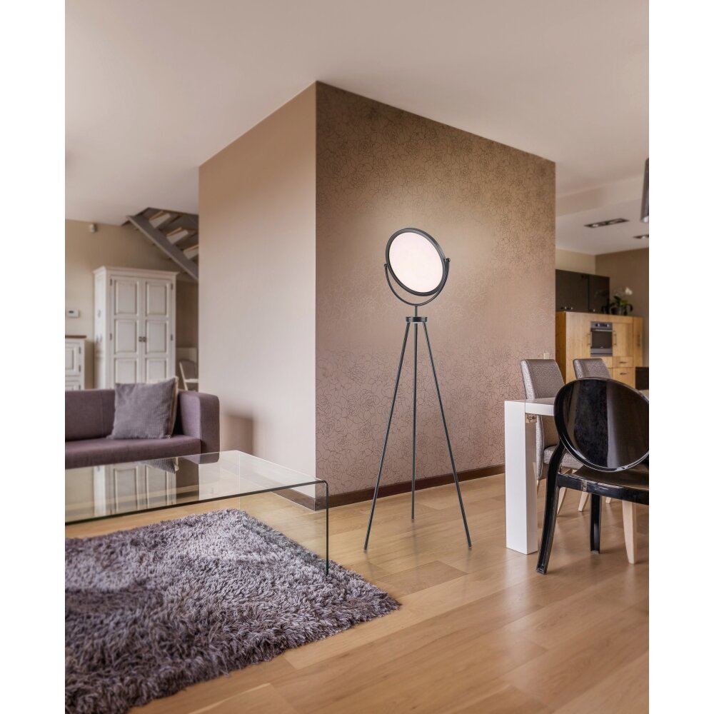 Leuchten-Direkt CARL Lámpara de Pie LED Negro, 1 luz main product photo