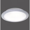 Leuchten-Direkt SATOB Lámpara de techo LED Plata, 1 luz