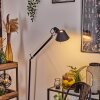 Artemide TOLOMEO Lámpara de Pie Cromo, Negro, 1 luz