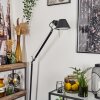 Artemide TOLOMEO Lámpara de Pie Cromo, Negro, 1 luz