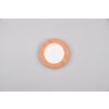 Reality Camillus Lámpara de Techo LED Color madera, Blanca, 1 luz