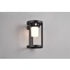 Trio Carmo Lámpara solare LED Negro, 1 luz, Sensor de movimiento