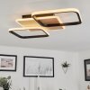 Tiutiella Lámpara de Techo LED Marrón, Color madera, Negro, 1 luz