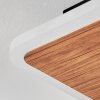 Tiutiella Lámpara de Techo LED Marrón, Color madera, Negro, 1 luz