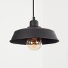 Rognaix Lámpara Colgante Negro, 1 luz