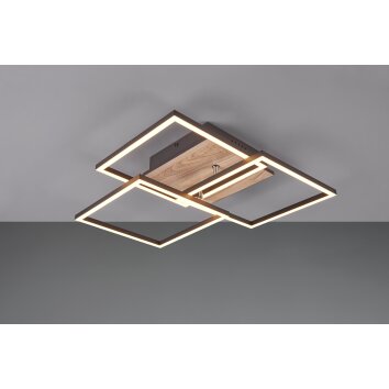 Reality Mobile Lámpara de Techo LED Color madera, Negro, 1 luz, Mando a distancia