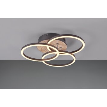 Reality Circle Lámpara de Techo LED Color madera, Negro, 1 luz, Mando a distancia