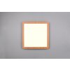 Reality Camillus Lámpara de Techo LED Color madera, Blanca, 1 luz