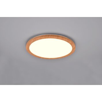 Reality Camillus Lámpara de Techo LED Color madera, Blanca, 1 luz