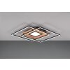Trio Via Lámpara de Techo LED Color madera, Negro, 1 luz, Mando a distancia
