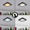 Canditas Lámpara de Techo LED Negro, 1 luz