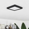 Canditas Lámpara de Techo LED Negro, 1 luz