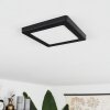 Canditas Lámpara de Techo LED Negro, 1 luz