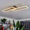 Hyacinthe Lámpara de Techo LED Negro, 1 luz, Mando a distancia