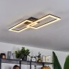 Hyacinthe Lámpara de Techo LED Negro, 1 luz, Mando a distancia