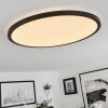 Tamesch Lámpara de Techo LED Negro, 1 luz, Mando a distancia