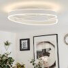 Rosemond Lámpara de Techo LED Blanca, 1 luz