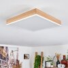 Salmi Lámpara de Techo LED Marrón, Color madera, Blanca, 1 luz