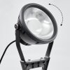 Phniet Foco proyector jardin LED Negro, 1 luz, Mando a distancia, Cambia de color