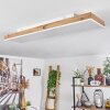 Salmi Lámpara de Techo LED Marrón, Color madera, Blanca, 1 luz, Mando a distancia