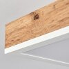 Salmi Lámpara de Techo LED Marrón, Color madera, Blanca, 1 luz, Mando a distancia