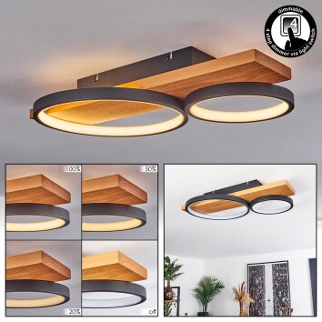 Rodekro Lámpara de Techo LED Crudo, Negro, 1 luz