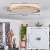 Menthonnex Lámpara de Techo LED Blanca, 1 luz, Mando a distancia