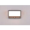 Trio Nestos Aplique para exterior LED Antracita, 1 luz, Sensor de movimiento